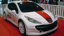 Peugeot 207 RCup