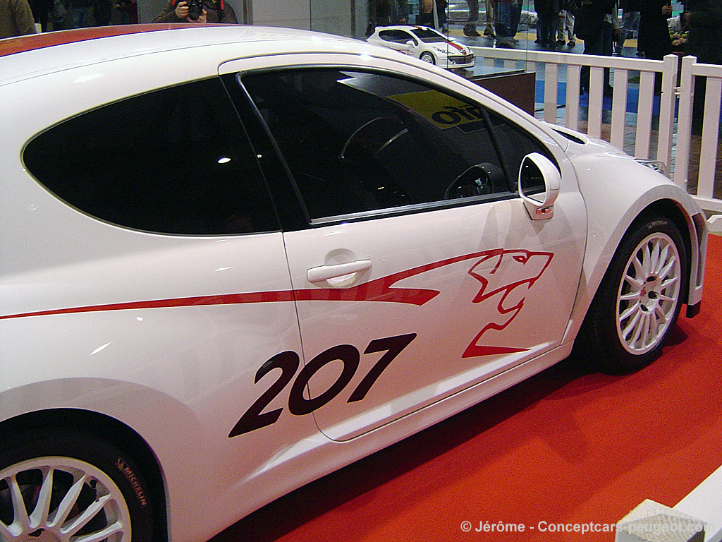 Peugeot 207 RCup