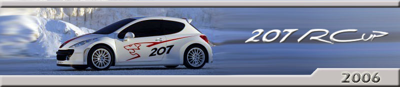 Peugeot 207 RCup