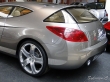 Peugeot 407 Elixir - Exposition 30 ans de concept-cars