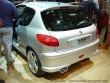 Peugeot 206 RC - Mondial de l'auto Paris 2002