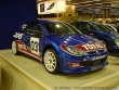 Peugeot 206 Super 1600 - Mondial de l'auto Paris 2002