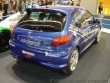 Peugeot 206 RC Groupe N - Mondial de l'auto Paris 2002