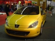 Mondial_auto_Paris_2004_224