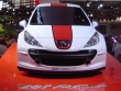 Peugeot 207 RCup - Mondial de l'auto Paris 2006