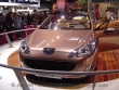 Mondial_auto_Paris_2006_169