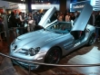 Mondial_auto_Paris_2008_242