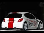 Photos Peugeot 207 RCup