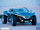 Peugeot Hoggar