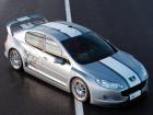 Peugeot 407 Silhouette