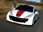 207 RCup 2