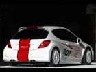 Peugeot 207 RCup