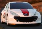 Peugeot 207 RCup
