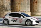 207 RCup 9