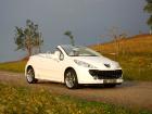 207 Epure 7