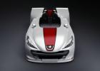 Peugeot Spider 207